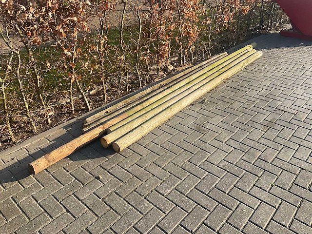 Tuinpalen - afbeelding 1 van  4