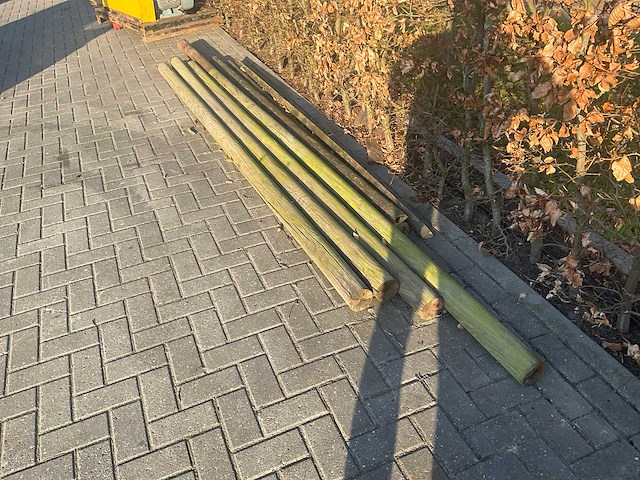 Tuinpalen - afbeelding 3 van  4