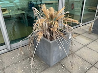 Tuinpot buiten (8x) - afbeelding 3 van  6
