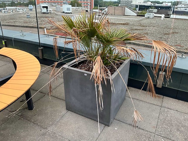 Tuinpot buiten (8x) - afbeelding 4 van  6