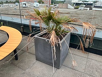 Tuinpot buiten (8x) - afbeelding 4 van  6