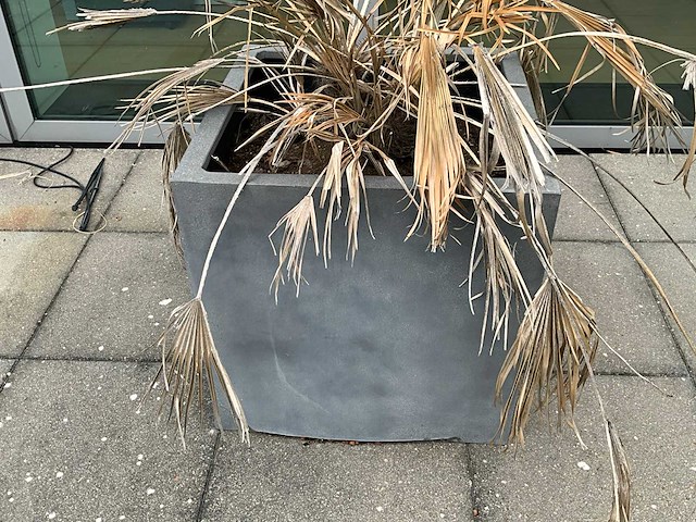 Tuinpot buiten (8x) - afbeelding 6 van  6