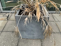Tuinpot buiten (8x) - afbeelding 6 van  6
