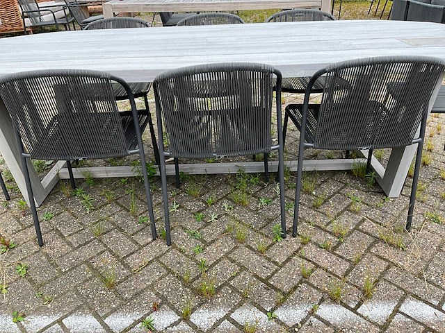 Tuinset - afbeelding 6 van  8