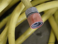 Tuinslang - afbeelding 3 van  6