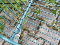 Tuinstoelen - 5 stuks - afbeelding 2 van  4
