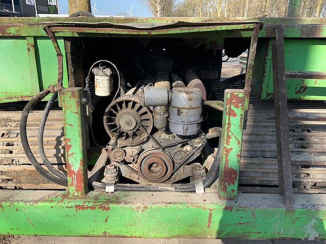 Tumoba rups onderkruiper - afbeelding 3 van  12