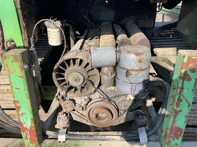 Tumoba rups onderkruiper - afbeelding 4 van  12