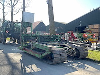 Tumoba rups onderkruiper - afbeelding 5 van  12