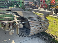 Tumoba rups onderkruiper - afbeelding 10 van  12