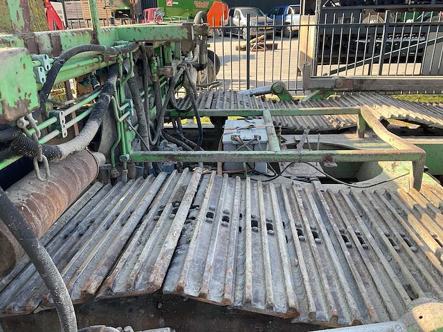 Tumoba rups onderkruiper - afbeelding 12 van  12