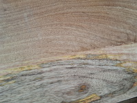 Tv meubel, mangohout - afbeelding 6 van  8