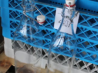 Twaalf waterflessen in kunststof krat. - afbeelding 2 van  2