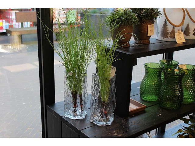 Twee glazen vazen met decoratieve groene planten. hoogte ca. 70 cm. - afbeelding 1 van  2