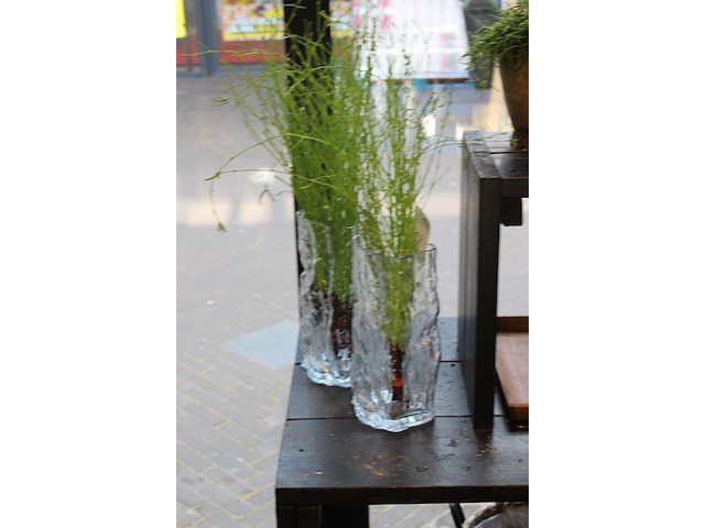 Twee glazen vazen met decoratieve groene planten. hoogte ca. 70 cm. - afbeelding 2 van  2