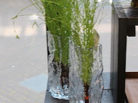 Twee glazen vazen met decoratieve groene planten. hoogte ca. 70 cm. - afbeelding 2 van  2