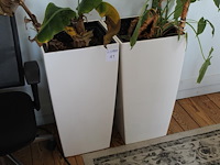 Twee kunststoffen bloempotten. afmeting 40 x 40 x 76 cm. - afbeelding 1 van  2
