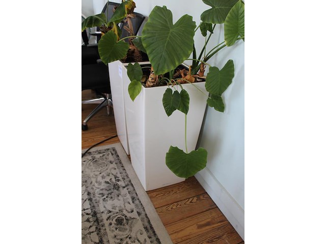 Twee kunststoffen bloempotten. afmeting 40 x 40 x 76 cm. - afbeelding 2 van  2