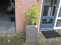 Twee metalen plantenbakken met afmeting 40 x 40 x72 cm. - afbeelding 1 van  3