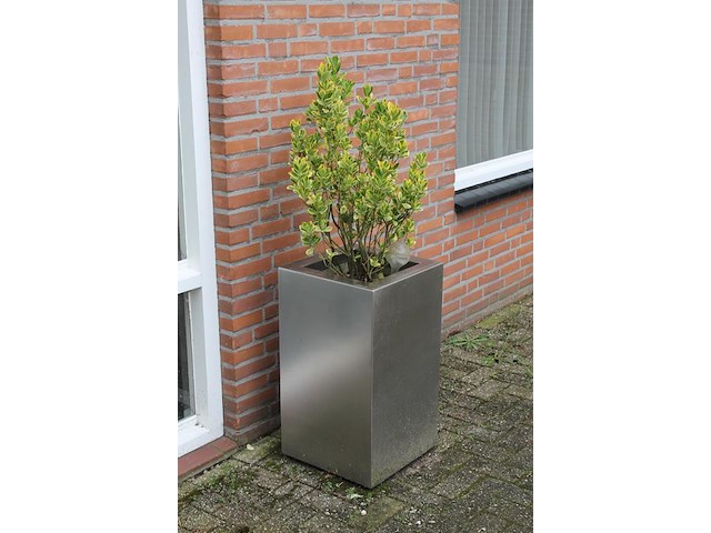 Twee metalen plantenbakken met afmeting 40 x 40 x72 cm. - afbeelding 3 van  3