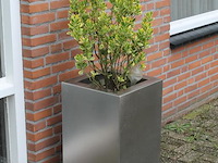 Twee metalen plantenbakken met afmeting 40 x 40 x72 cm. - afbeelding 3 van  3