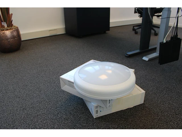 Twee plafonnieres noxion ip66 - afbeelding 2 van  2