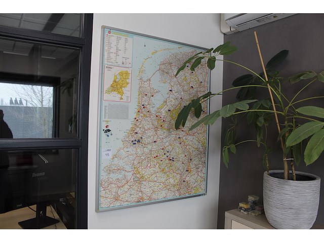 Twee planten in pot - afbeelding 1 van  2