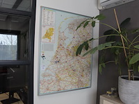 Twee planten in pot - afbeelding 1 van  2