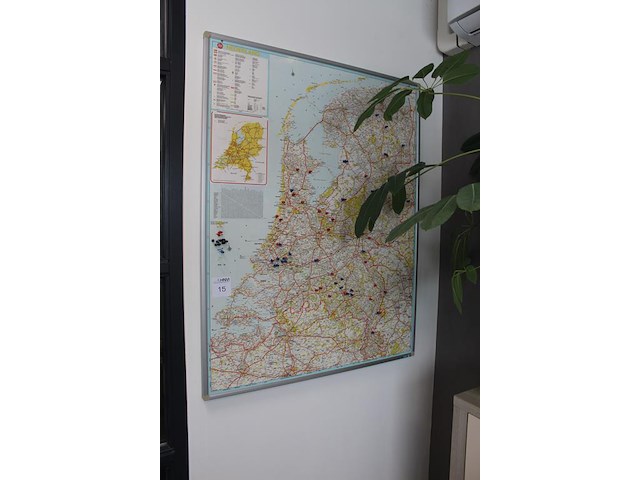 Twee planten in pot - afbeelding 2 van  2