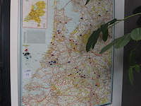 Twee planten in pot - afbeelding 2 van  2