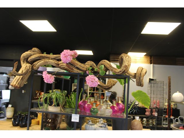 Twee stuks liaan. lengte ca. 100 cm. - afbeelding 1 van  3