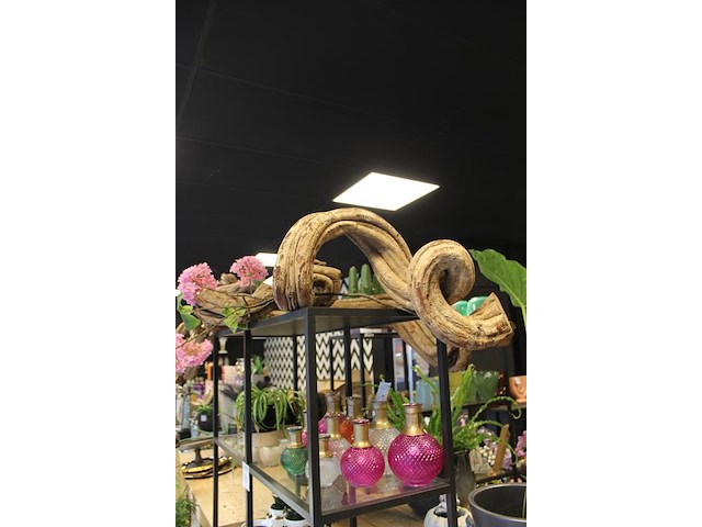 Twee stuks liaan. lengte ca. 100 cm. - afbeelding 2 van  3