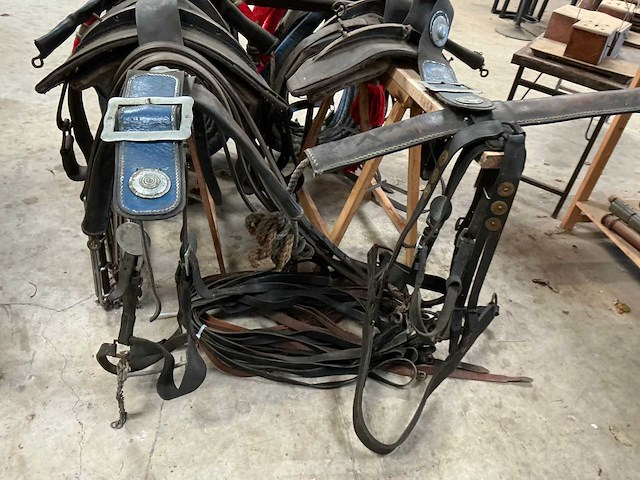 Tweespan haamtuig - afbeelding 2 van  15