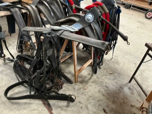 Tweespan haamtuig - afbeelding 3 van  15