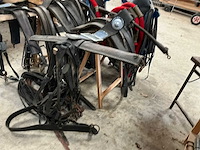 Tweespan haamtuig - afbeelding 3 van  15