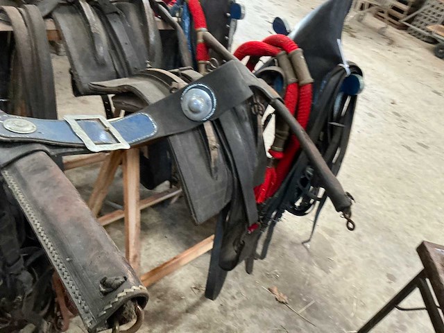 Tweespan haamtuig - afbeelding 4 van  15