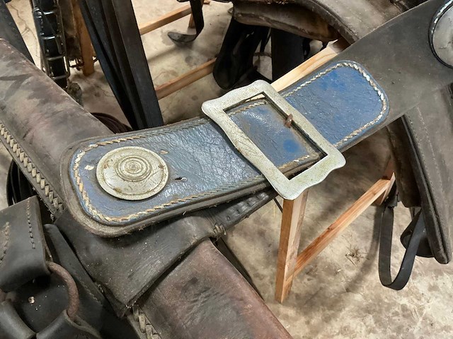 Tweespan haamtuig - afbeelding 5 van  15