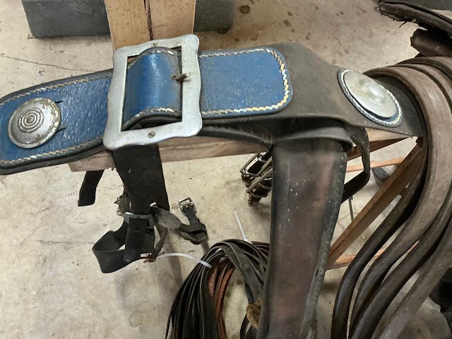 Tweespan haamtuig - afbeelding 6 van  15