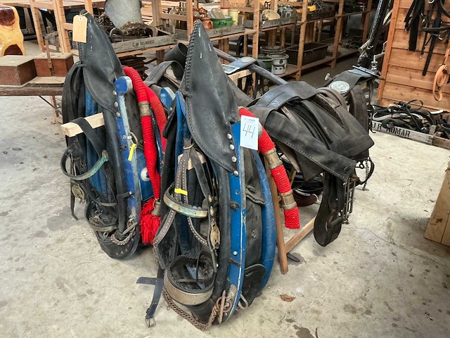 Tweespan haamtuig - afbeelding 1 van  15