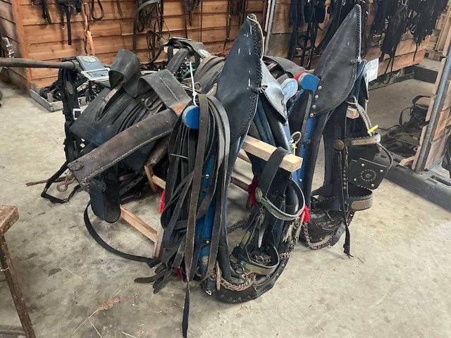 Tweespan haamtuig - afbeelding 9 van  15