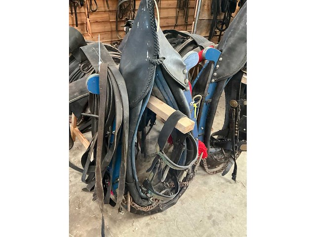 Tweespan haamtuig - afbeelding 10 van  15