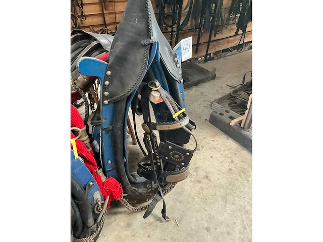 Tweespan haamtuig - afbeelding 11 van  15