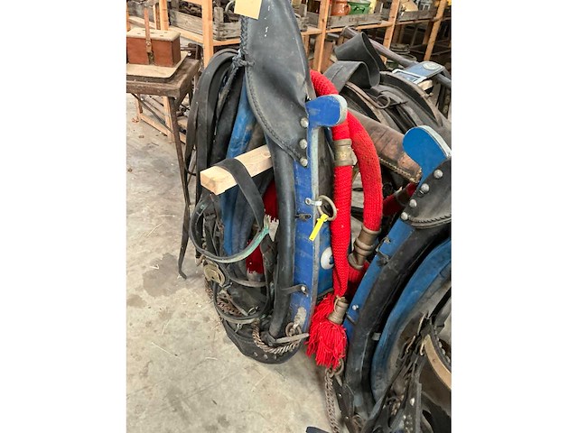 Tweespan haamtuig - afbeelding 12 van  15