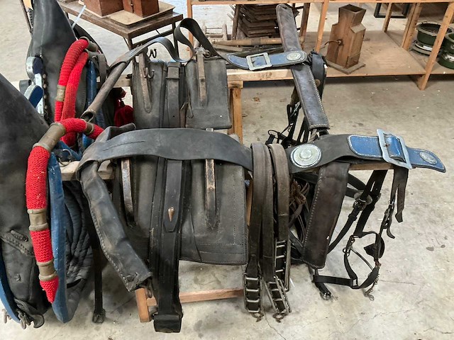 Tweespan haamtuig - afbeelding 14 van  15