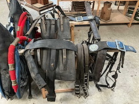 Tweespan haamtuig - afbeelding 14 van  15