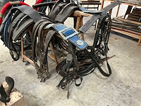 Tweespan haamtuig - afbeelding 15 van  15