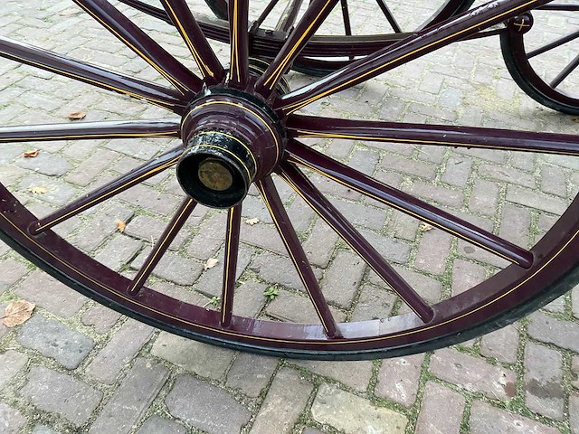 Tweespan spider koets - afbeelding 6 van  26