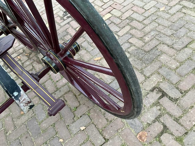 Tweespan spider koets - afbeelding 8 van  26