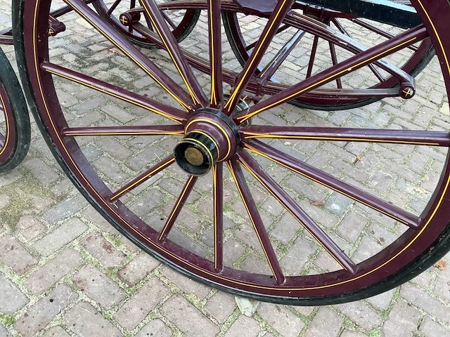 Tweespan spider koets - afbeelding 13 van  26