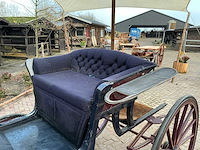 Tweespan spider koets - afbeelding 18 van  26